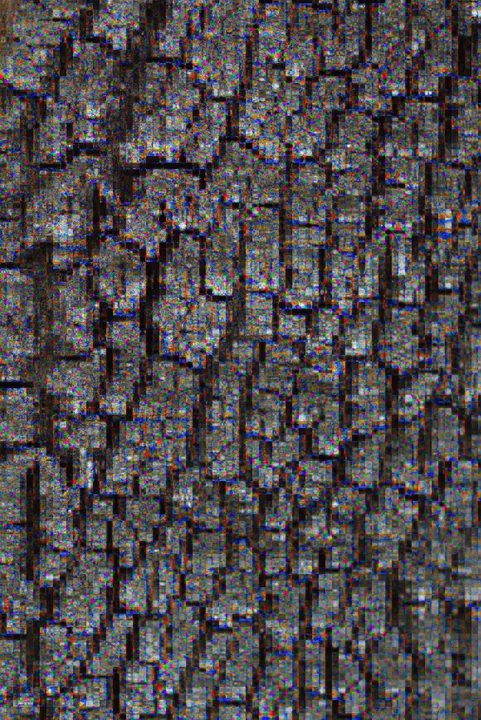 Tree bark broken into repeating colour blocks and bright fringes by Bayer Drift