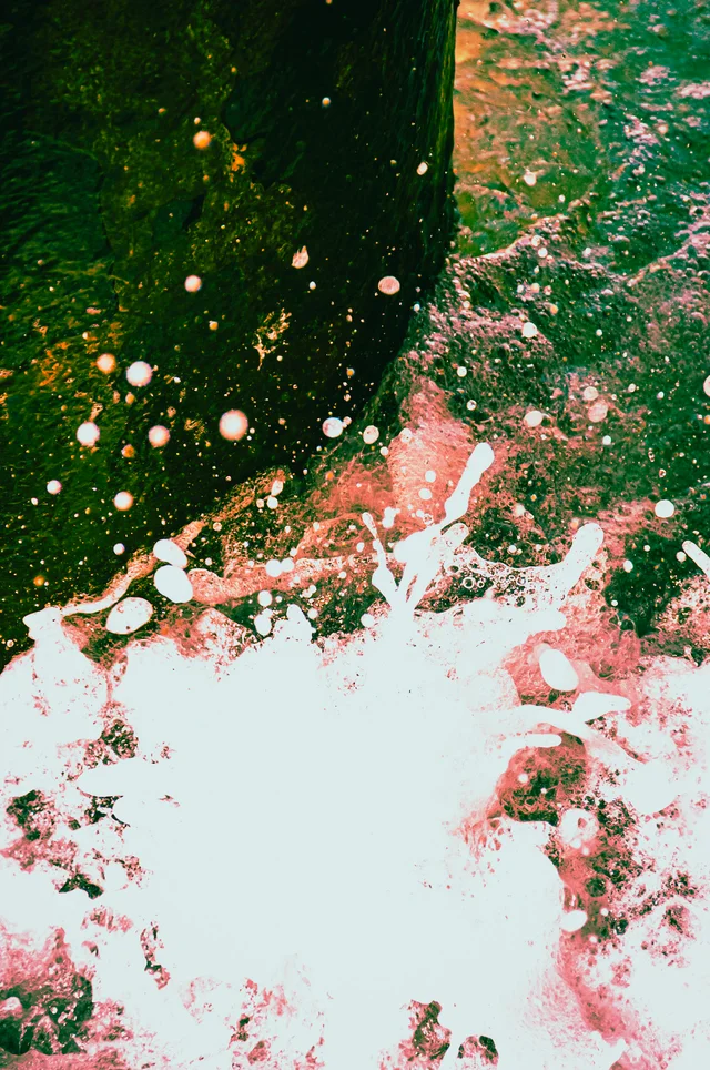 Favorites, photograph 34