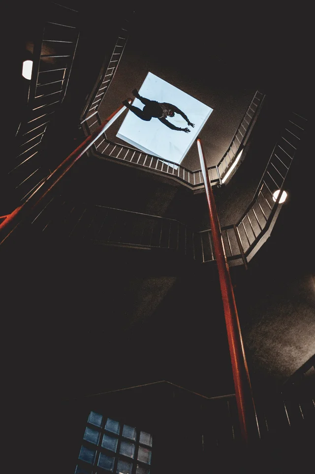 Favorites, photograph 33
