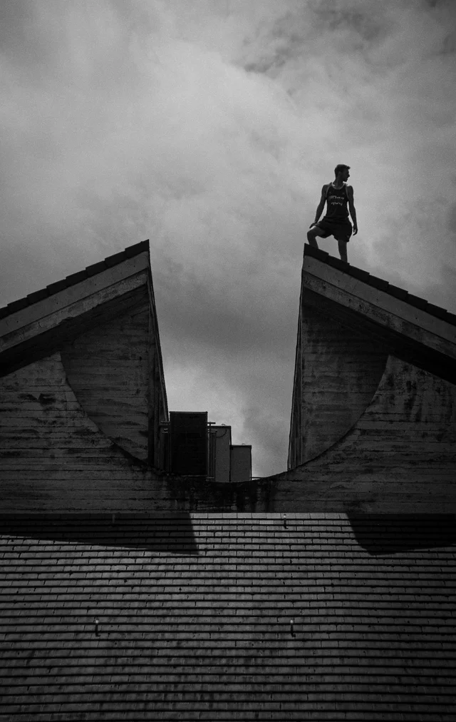Favorites, photograph 82