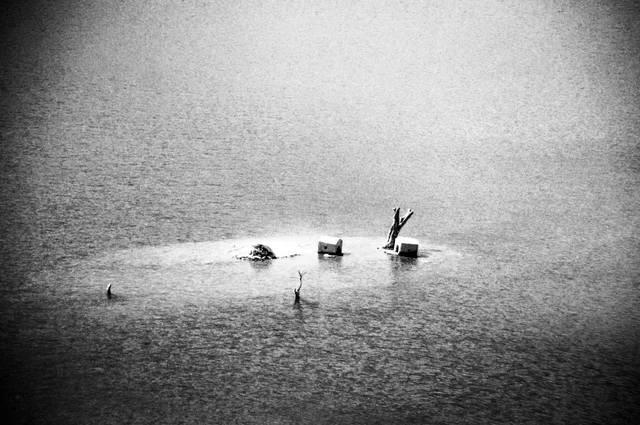 Favorites, photograph 54