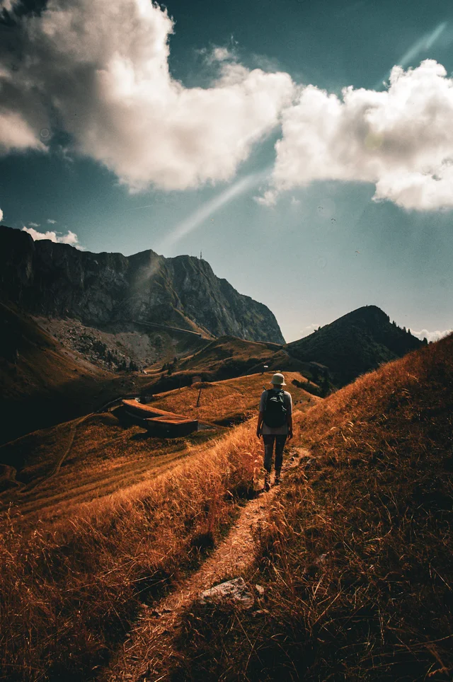 Favorites, photograph 110