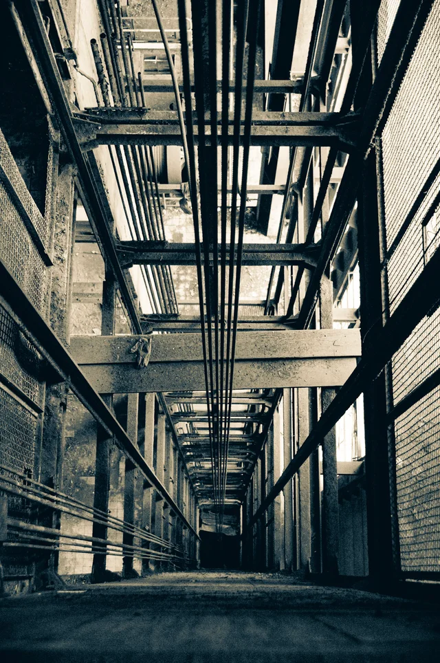 Favorites, photograph 102