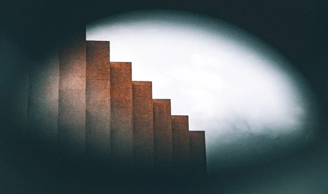 Favorites, photograph 60