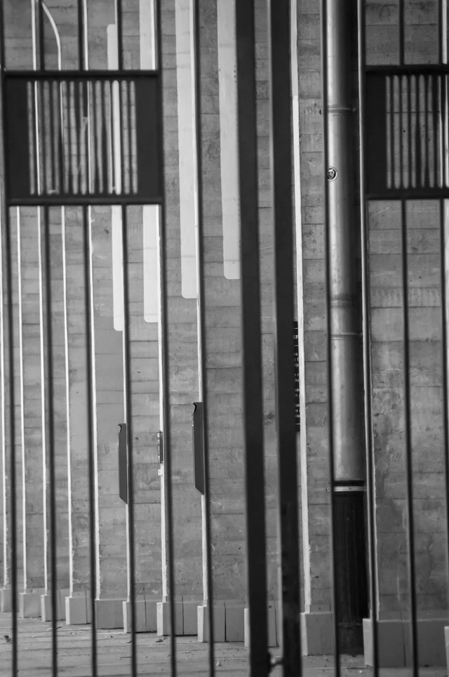 Favorites, photograph 76