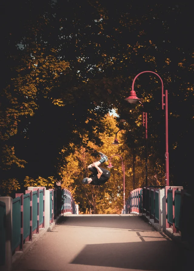 Favorites, photograph 9