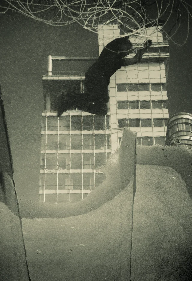 Parkour, photograph 5