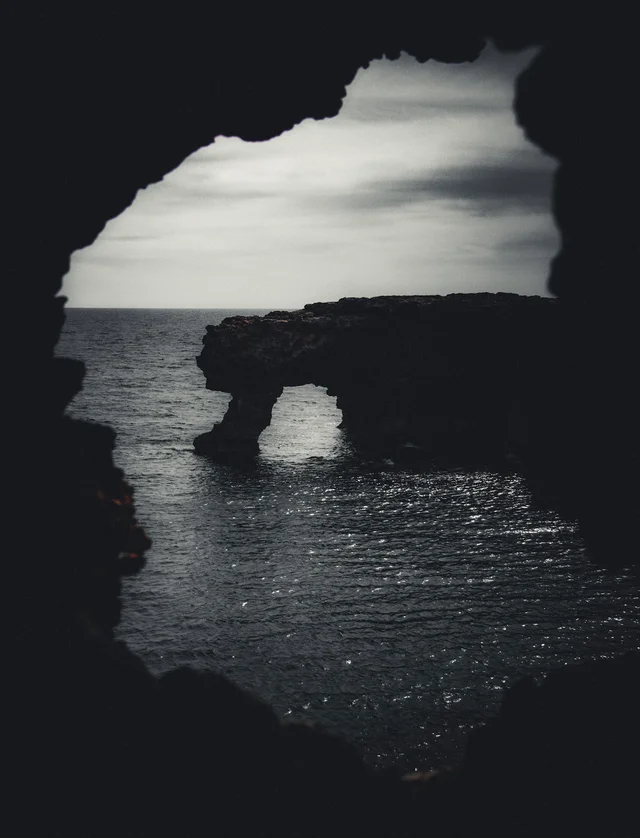Favorites, photograph 39