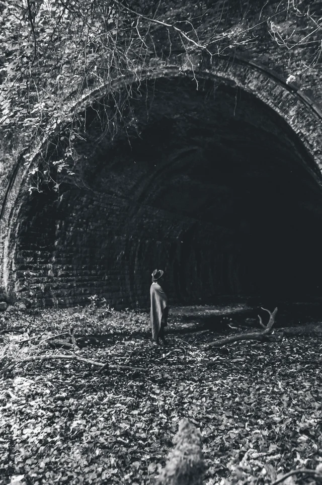 Favorites, photograph 67